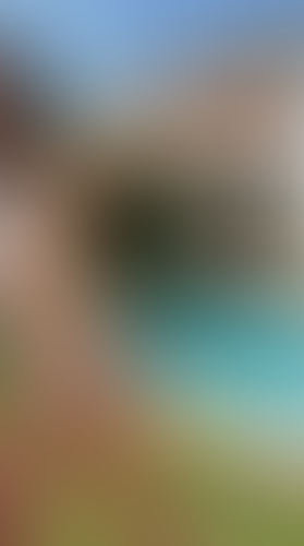 Geblurrte Content-Vorschau