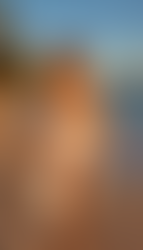Geblurrte Content-Vorschau