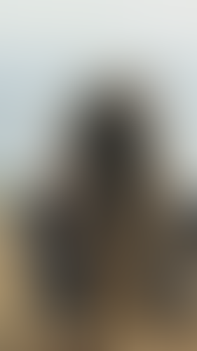 Blurred content preview