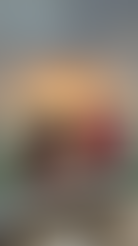Geblurrte Content-Vorschau