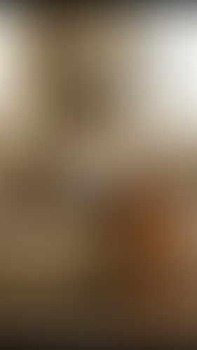 Geblurrte Content-Vorschau