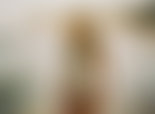 Geblurrte Content-Vorschau