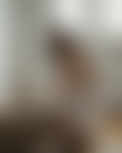 Geblurrte Content-Vorschau