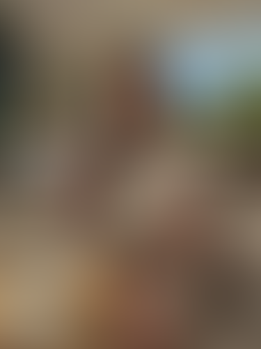 Blurred content preview