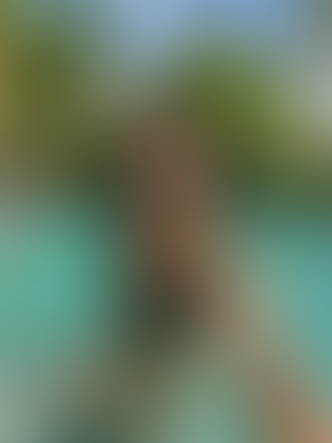 Blurred content preview