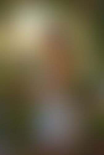 Geblurrte Content-Vorschau