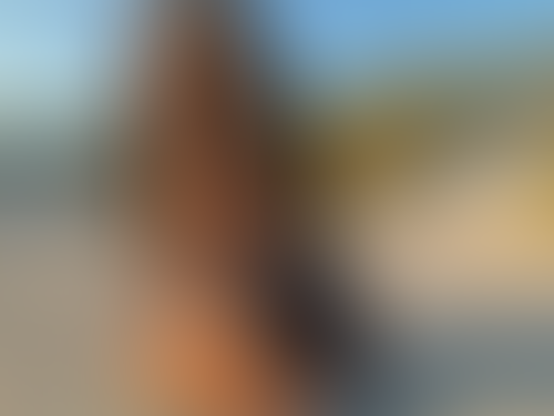 Blurred content preview