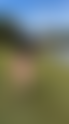 Geblurrte Content-Vorschau