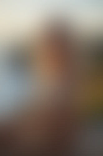 Geblurrte Content-Vorschau