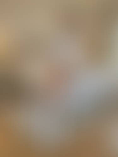 Blurred content preview