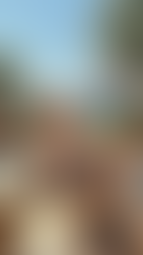 Blurred content preview