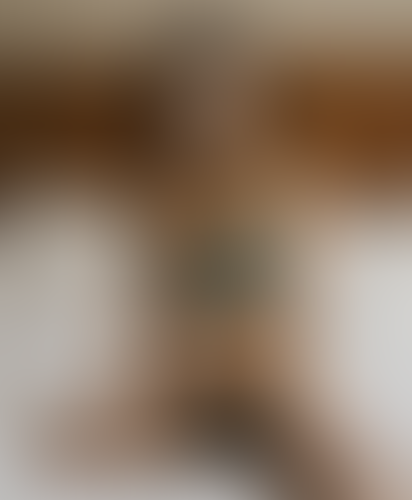 Blurred content preview