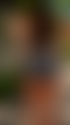 Geblurrte Content-Vorschau