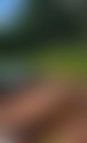 Geblurrte Content-Vorschau