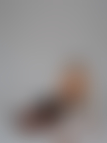 Geblurrte Content-Vorschau