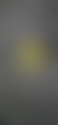 Geblurrte Content-Vorschau