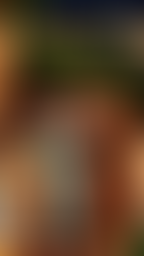 Geblurrte Content-Vorschau