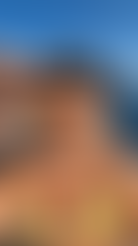 Geblurrte Content-Vorschau