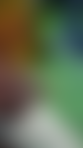 Geblurrte Content-Vorschau