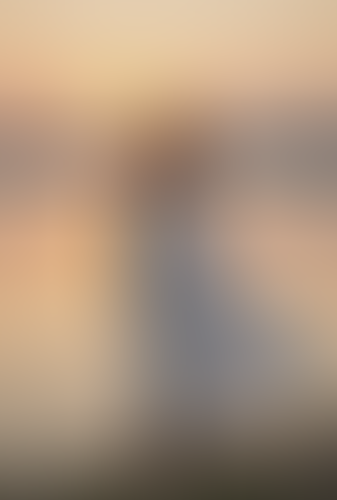 Geblurrte Content-Vorschau