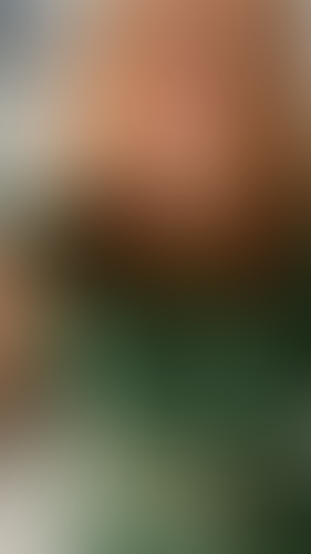 Geblurrte Content-Vorschau