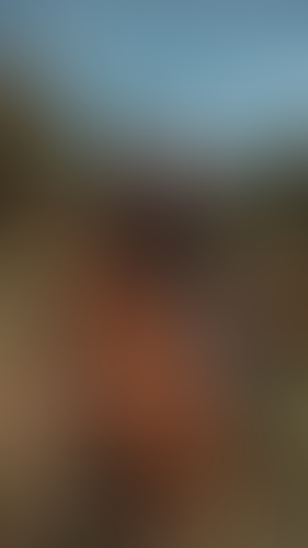 Geblurrte Content-Vorschau