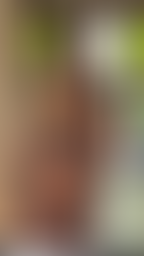 Geblurrte Content-Vorschau