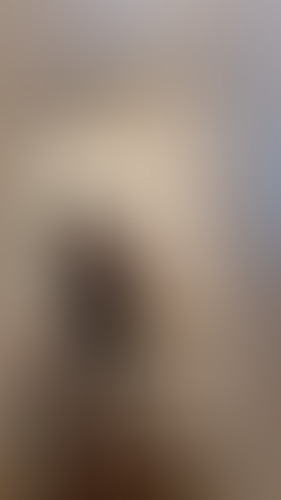 Geblurrte Content-Vorschau