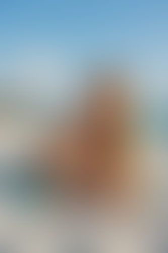 Geblurrte Content-Vorschau