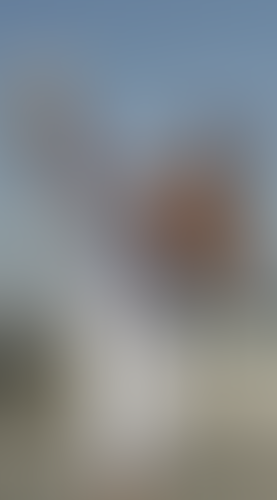 Blurred content preview