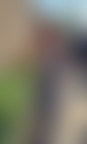 Geblurrte Content-Vorschau