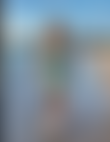 Blurred content preview