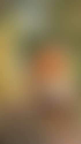 Geblurrte Content-Vorschau