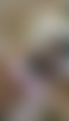Geblurrte Content-Vorschau