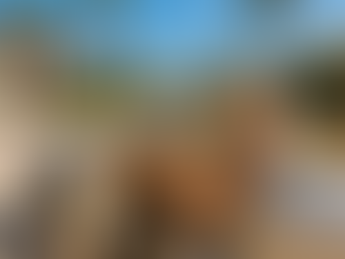 Blurred content preview