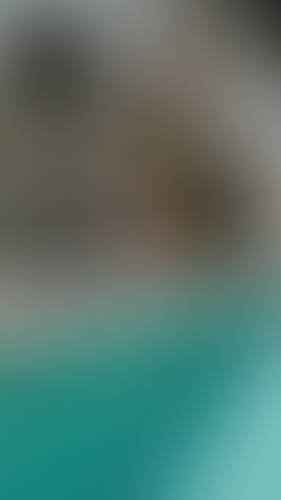 Geblurrte Content-Vorschau