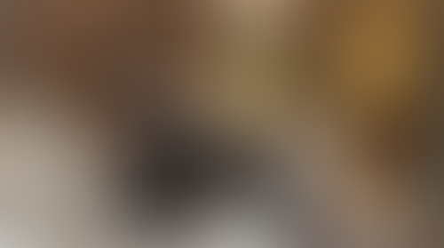 Geblurrte Content-Vorschau