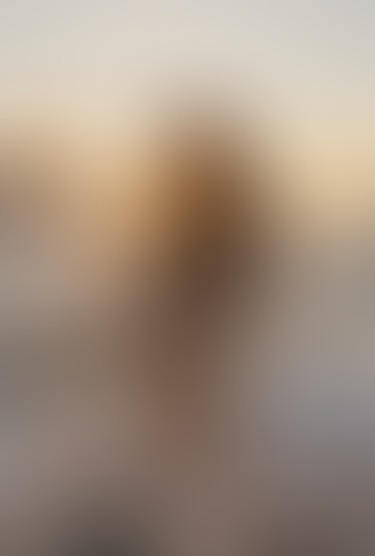 Blurred content preview