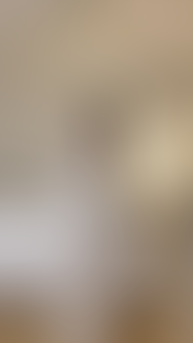 Geblurrte Content-Vorschau