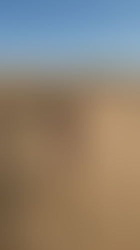 Blurred content preview