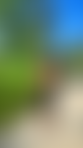 Geblurrte Content-Vorschau