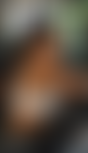 Geblurrte Content-Vorschau