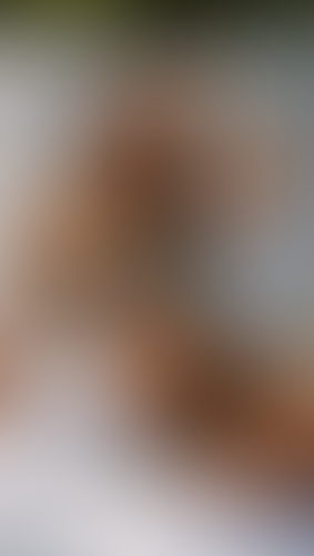 Geblurrte Content-Vorschau