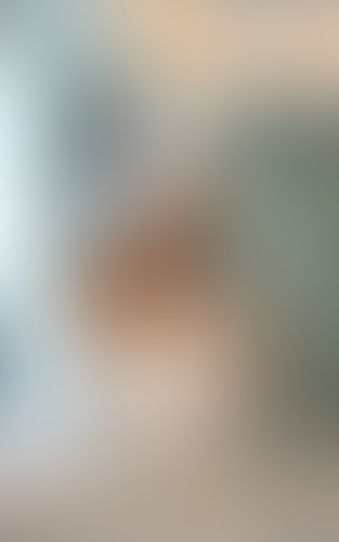 Geblurrte Content-Vorschau