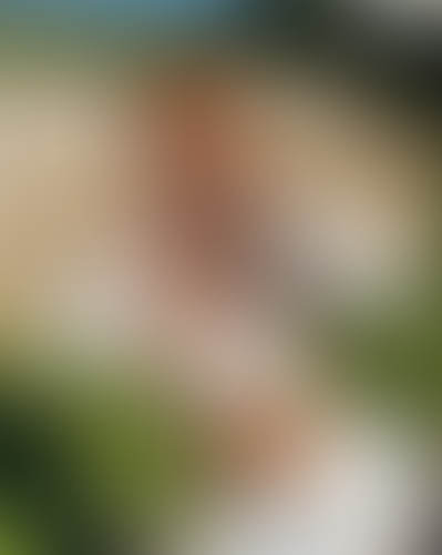 Geblurrte Content-Vorschau
