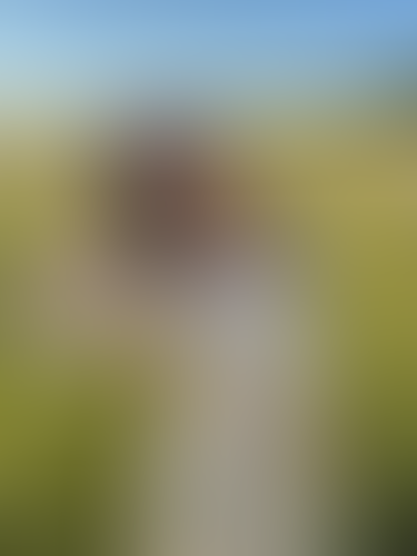 Geblurrte Content-Vorschau