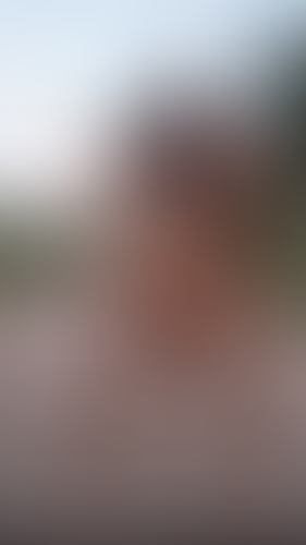 Geblurrte Content-Vorschau