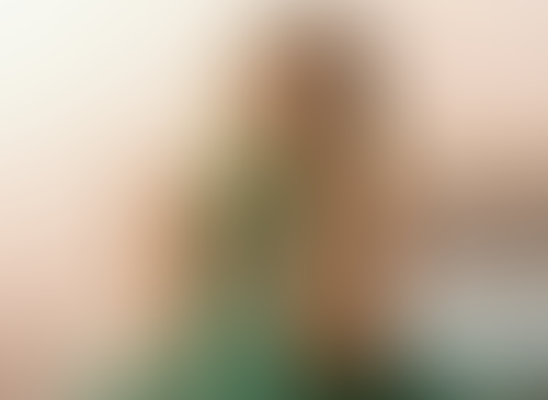 Blurred content preview
