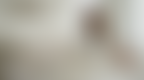 Geblurrte Content-Vorschau