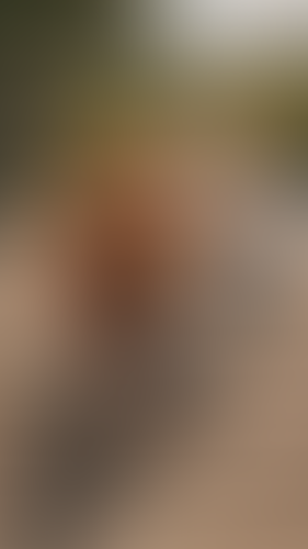 Geblurrte Content-Vorschau